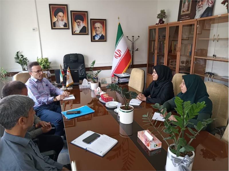 بررسی چگونگی ارائه خدمات درمانی و بیمه ای در بخش vip بیمارستان های دولتی استان مرکزی