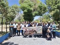رسانه جدید