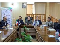 رسانه جدید